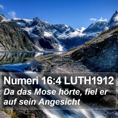 Numeri 16:4 LUTH1912 Bible Verse Image