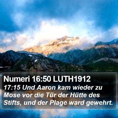 Numeri 16:50 LUTH1912 Bible Verse Image