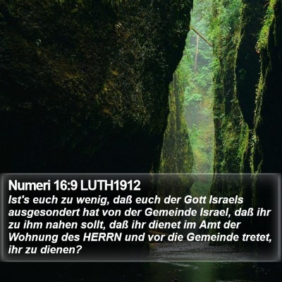 Numeri 16:9 LUTH1912 Bible Verse Image