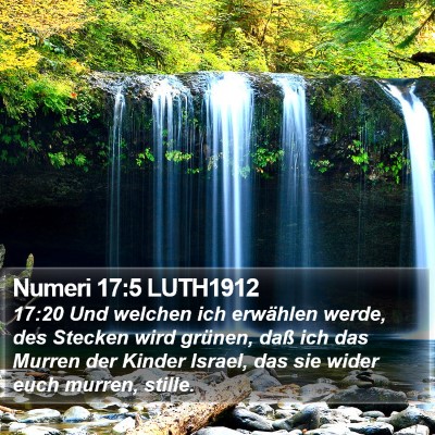 Numeri 17:5 LUTH1912 Bible Verse Image