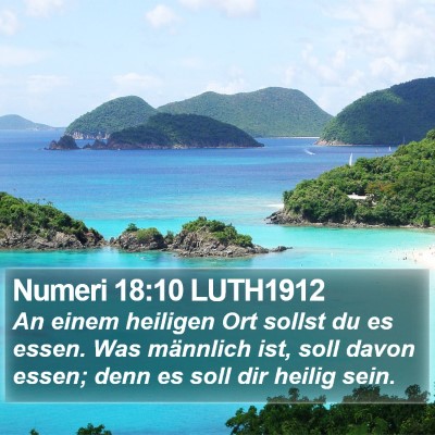 Numeri 18:10 LUTH1912 Bible Verse Image