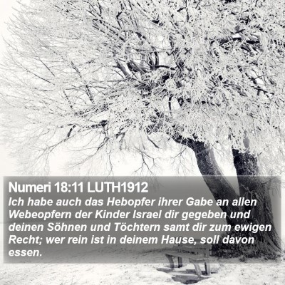 Numeri 18:11 LUTH1912 Bible Verse Image