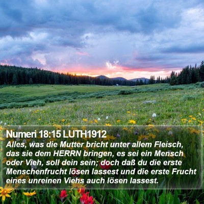 Numeri 18:15 LUTH1912 Bible Verse Image