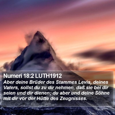 Numeri 18:2 LUTH1912 Bible Verse Image