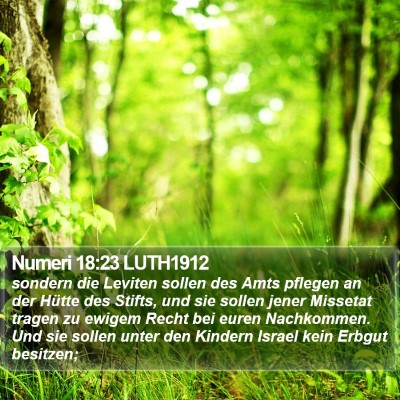 Numeri 18:23 LUTH1912 Bible Verse Image