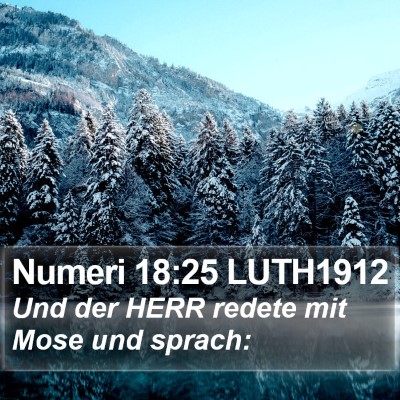 Numeri 18:25 LUTH1912 Bible Verse Image