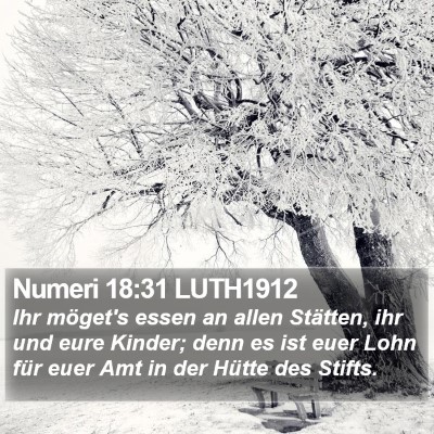 Numeri 18:31 LUTH1912 Bible Verse Image