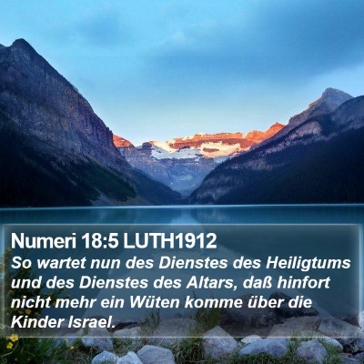 Numeri 18:5 LUTH1912 Bible Verse Image