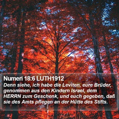 Numeri 18:6 LUTH1912 Bible Verse Image