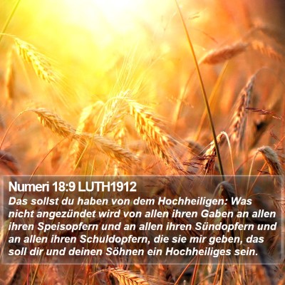 Numeri 18:9 LUTH1912 Bible Verse Image