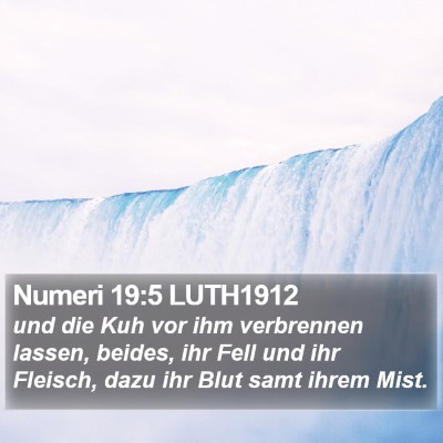 Numeri 19:5 LUTH1912 Bible Verse Image