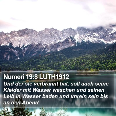 Numeri 19:8 LUTH1912 Bible Verse Image
