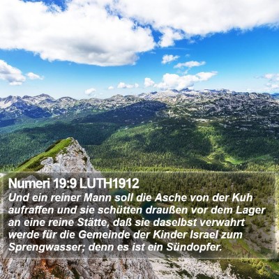 Numeri 19:9 LUTH1912 Bible Verse Image