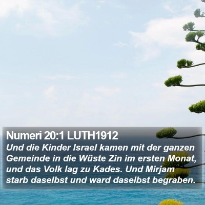 Numeri 20:1 LUTH1912 Bible Verse Image