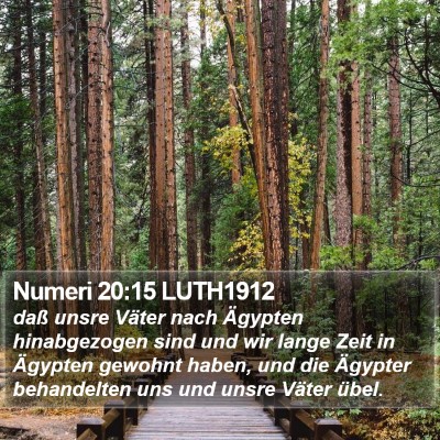 Numeri 20:15 LUTH1912 Bible Verse Image
