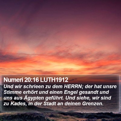 Numeri 20:16 LUTH1912 Bible Verse Image