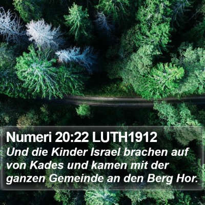Numeri 20:22 LUTH1912 Bible Verse Image