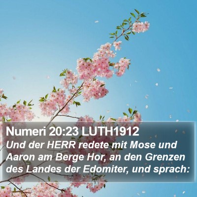 Numeri 20:23 LUTH1912 Bible Verse Image