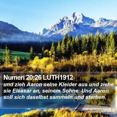 Numeri 20:26 LUTH1912 Bible Verse Image