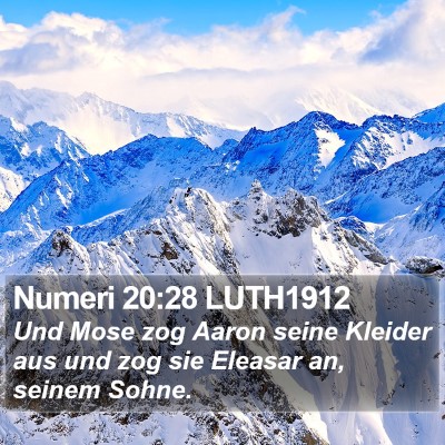 Numeri 20:28 LUTH1912 Bible Verse Image