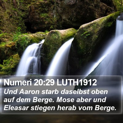 Numeri 20:29 LUTH1912 Bible Verse Image