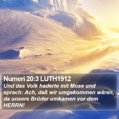 Numeri 20:3 LUTH1912 Bible Verse Image