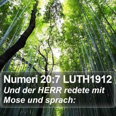 Numeri 20:7 LUTH1912 Bible Verse Image