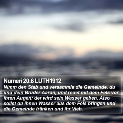 Numeri 20:8 LUTH1912 Bible Verse Image