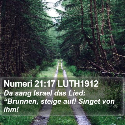 Numeri 21:17 LUTH1912 Bible Verse Image