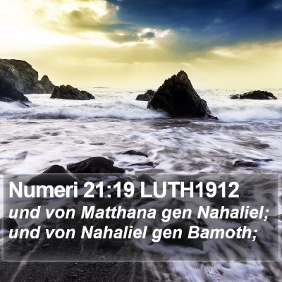 Numeri 21:19 LUTH1912 Bible Verse Image