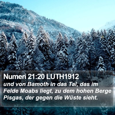 Numeri 21:20 LUTH1912 Bible Verse Image