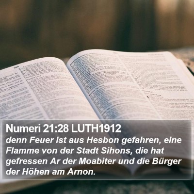 Numeri 21:28 LUTH1912 Bible Verse Image