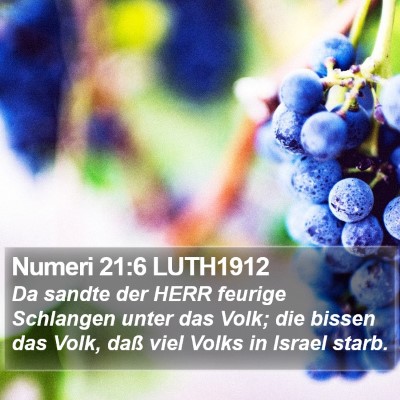 Numeri 21:6 LUTH1912 Bible Verse Image
