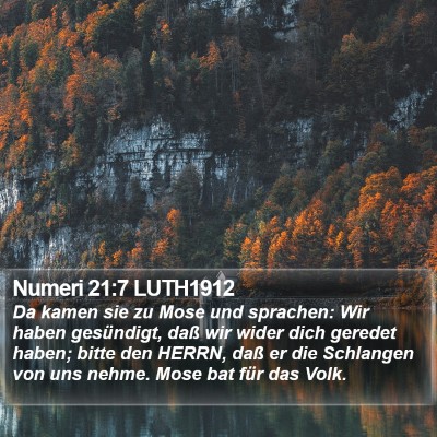 Numeri 21:7 LUTH1912 Bible Verse Image