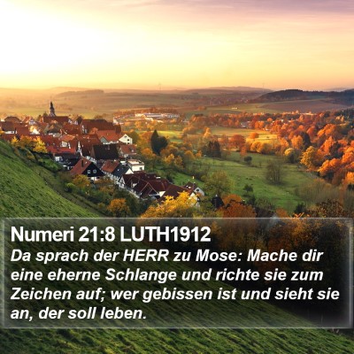 Numeri 21:8 LUTH1912 Bible Verse Image