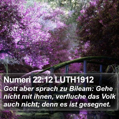 Numeri 22:12 LUTH1912 Bible Verse Image