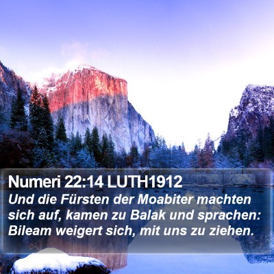 Numeri 22:14 LUTH1912 Bible Verse Image