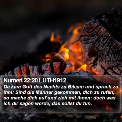 Numeri 22:20 LUTH1912 Bible Verse Image