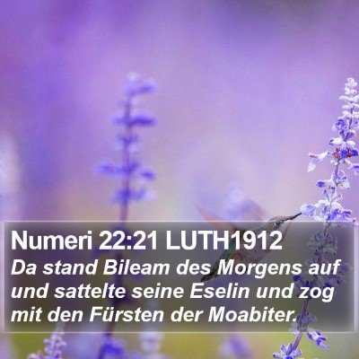 Numeri 22:21 LUTH1912 Bible Verse Image