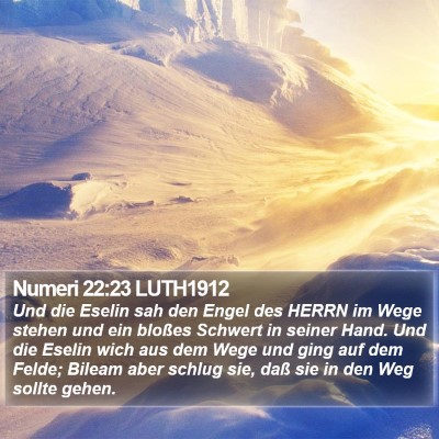 Numeri 22:23 LUTH1912 Bible Verse Image