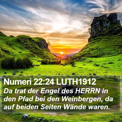 Numeri 22:24 LUTH1912 Bible Verse Image