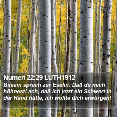 Numeri 22:29 LUTH1912 Bible Verse Image