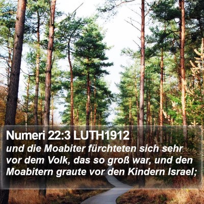 Numeri 22:3 LUTH1912 Bible Verse Image