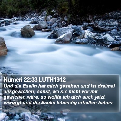 Numeri 22:33 LUTH1912 Bible Verse Image