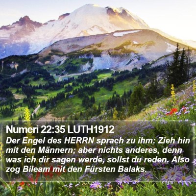 Numeri 22:35 LUTH1912 Bible Verse Image