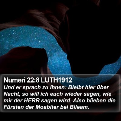Numeri 22:8 LUTH1912 Bible Verse Image