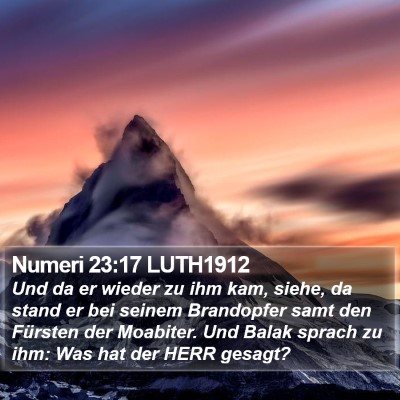 Numeri 23:17 LUTH1912 Bible Verse Image
