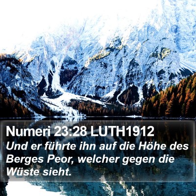 Numeri 23:28 LUTH1912 Bible Verse Image