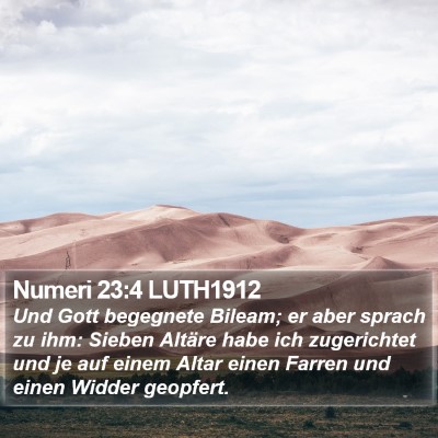 Numeri 23:4 LUTH1912 Bible Verse Image