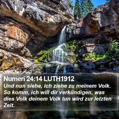Numeri 24:14 LUTH1912 Bible Verse Image